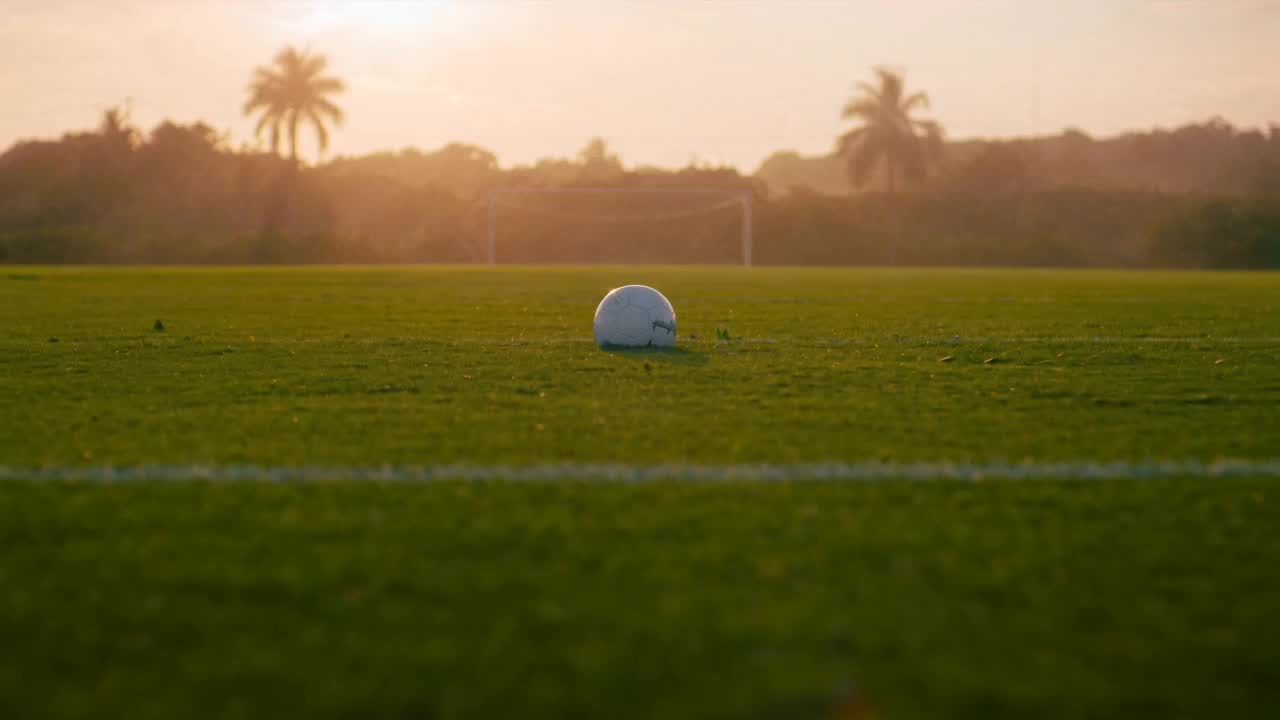 A soccer ball resting on the field at golden hour